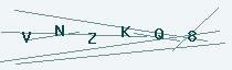 CAPTCHA verification code